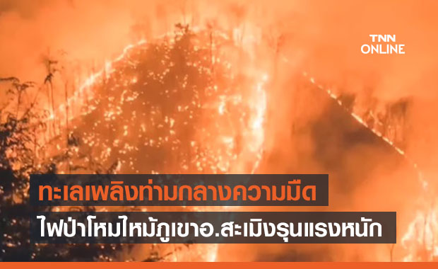 ไฟป่าโหมไหม้ภูเขาอ.สะเมิงจ.เชียงใหม่รุนแรง กลายเป็นทะเลเพลิงท่ามกลางความมืด 