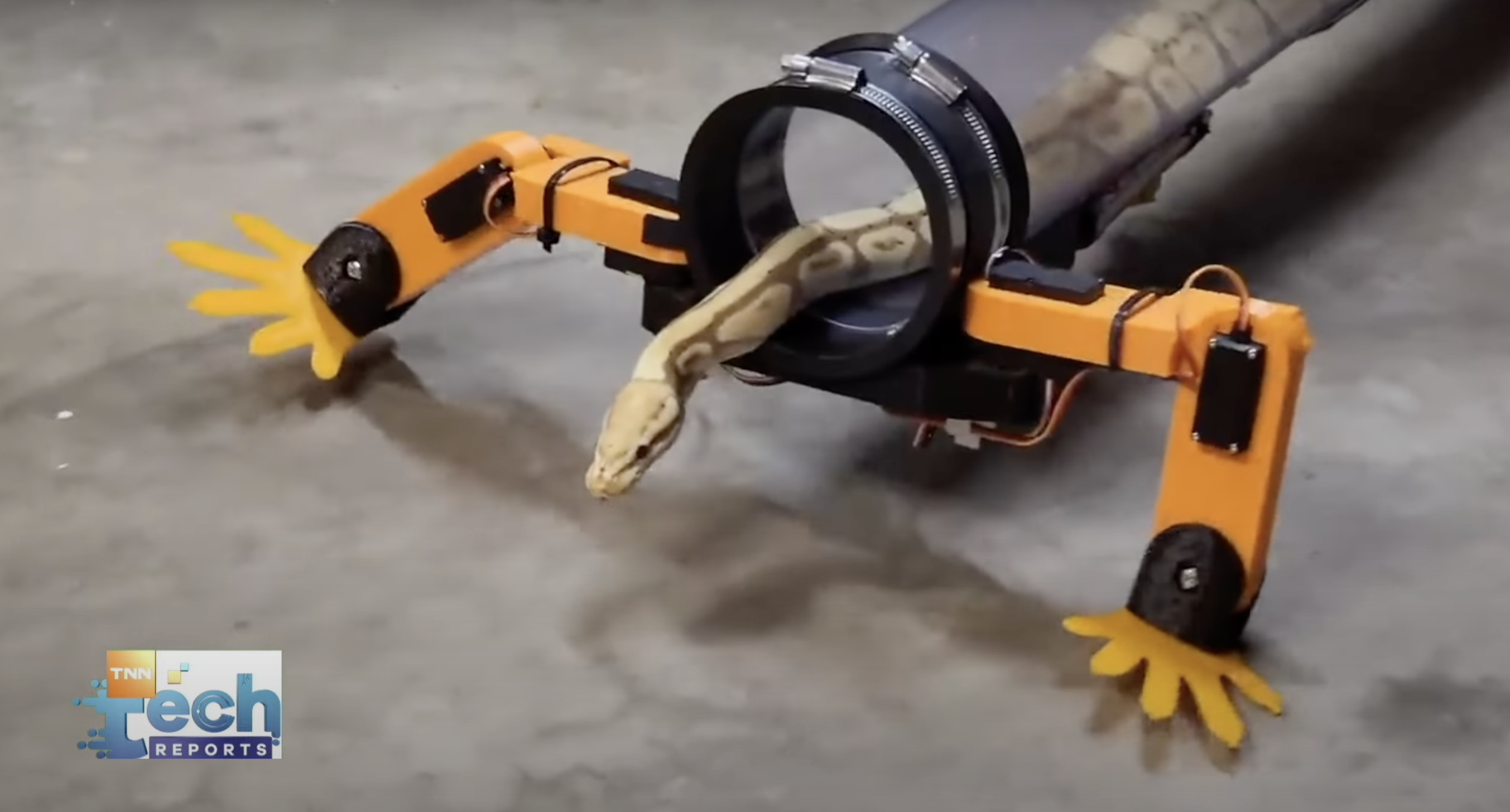 ตัวช่วยเลี้ยงสัตว์ยุคใหม่ด้วยเทคโนโลยี ตัวช่วยเลี้ยงสัตว์ยุคใหม่ด้วยเทคโนโลยี