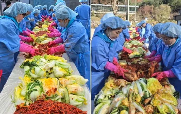 แฟนคลับ อิมยองอุง ทำกิมจิ 2,500 หัว เพื่อช่วยเหลือผู้ทุกข์ยาก แฟนคลับ อิมยองอุง ทำกิมจิ 2,500 หัว เพื่อช่วยเหลือผู้ทุกข์ยาก