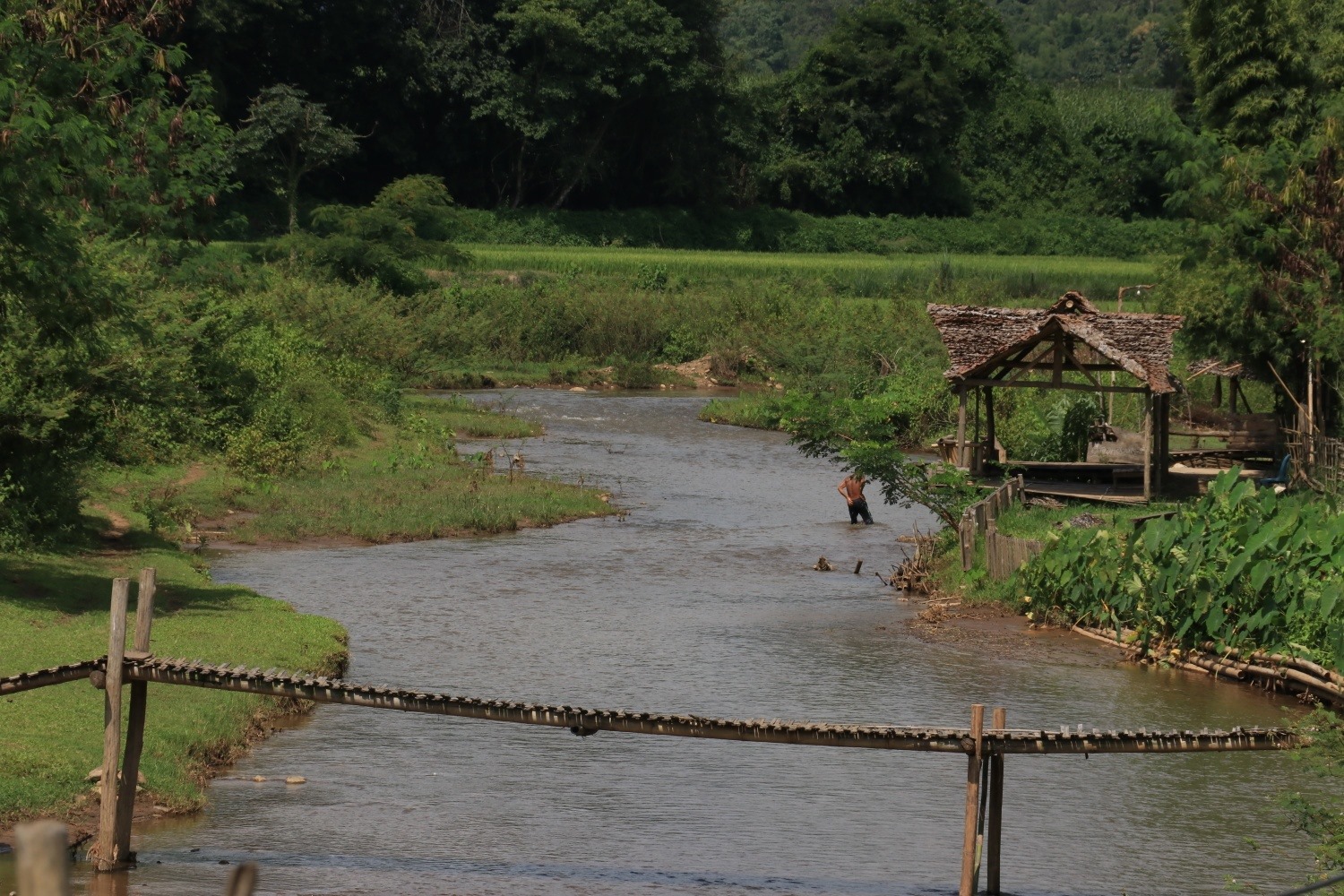 ยูเนสโกยก “ดอยเชียงดาว” พื้นที่สงวนชีวมณฑลของโลก ยูเนสโกยก “ดอยเชียงดาว” พื้นที่สงวนชีวมณฑลของโลก