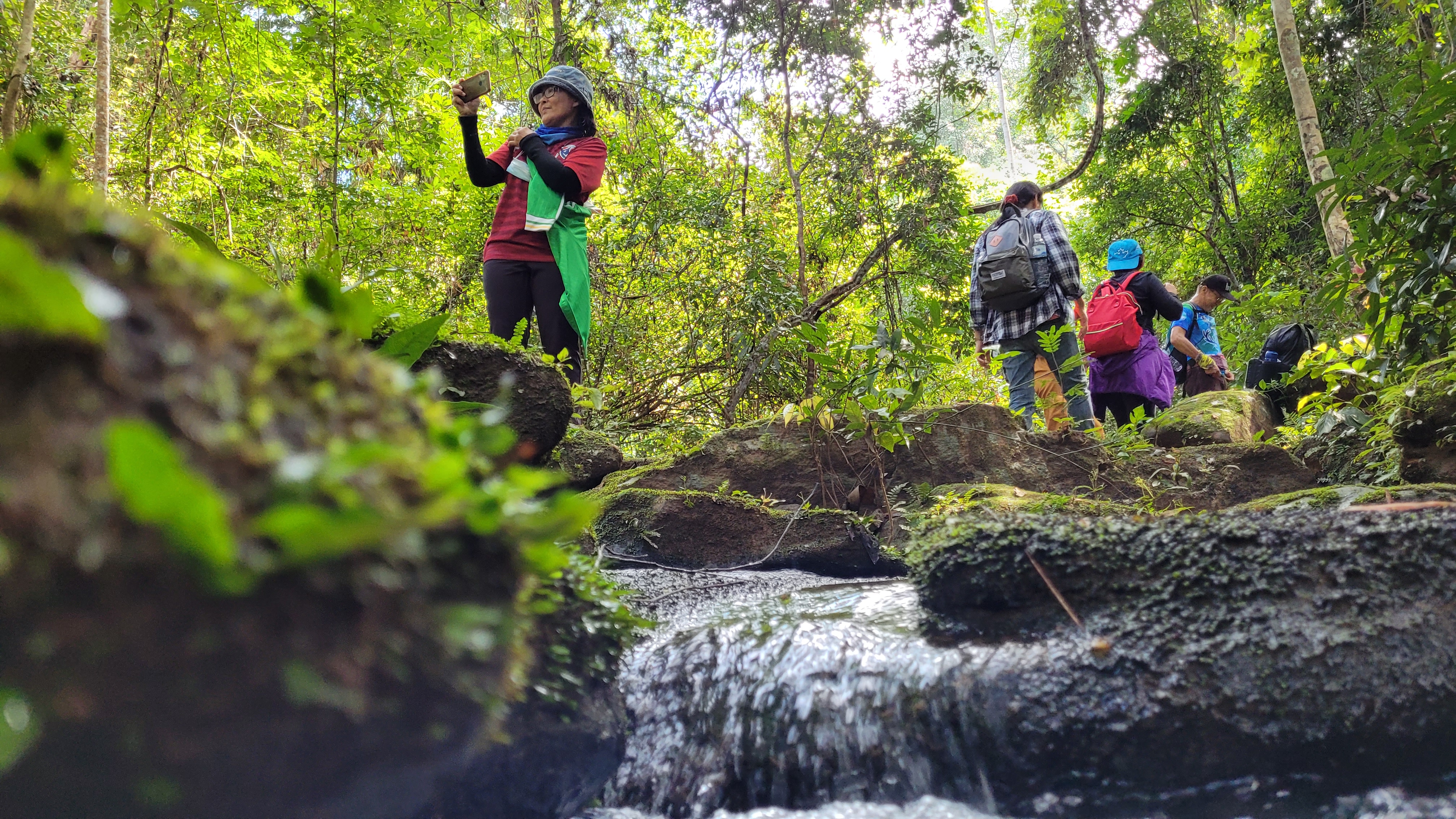 ทุ่งแสลงหลวง พร้อมเปิดให้ นทท.ขึ้นทุ่งโนนสน ชมดอกไม้งาม
