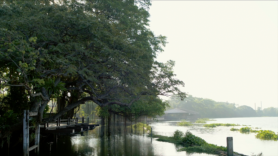 สัมผัสประสบการณ์ Everyone’s Wellness รับปีใหม่ก่อนใคร! ที่ RXV “รักษ วิลเลจ สามพราน” สัมผัสประสบการณ์ Everyone’s Wellness รับปีใหม่ก่อนใคร! ที่ RXV “รักษ วิลเลจ สามพราน”