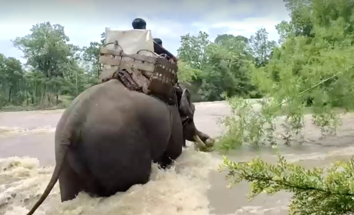 เปิดภาพหาดูยาก! กัมพูชาใช้ ‘ช้าง’ ขนหีบบัตรเลือกตั้งข้ามแม่น้ำ เปิดภาพหาดูยาก! กัมพูชาใช้ ‘ช้าง’ ขนหีบบัตรเลือกตั้งข้ามแม่น้ำ