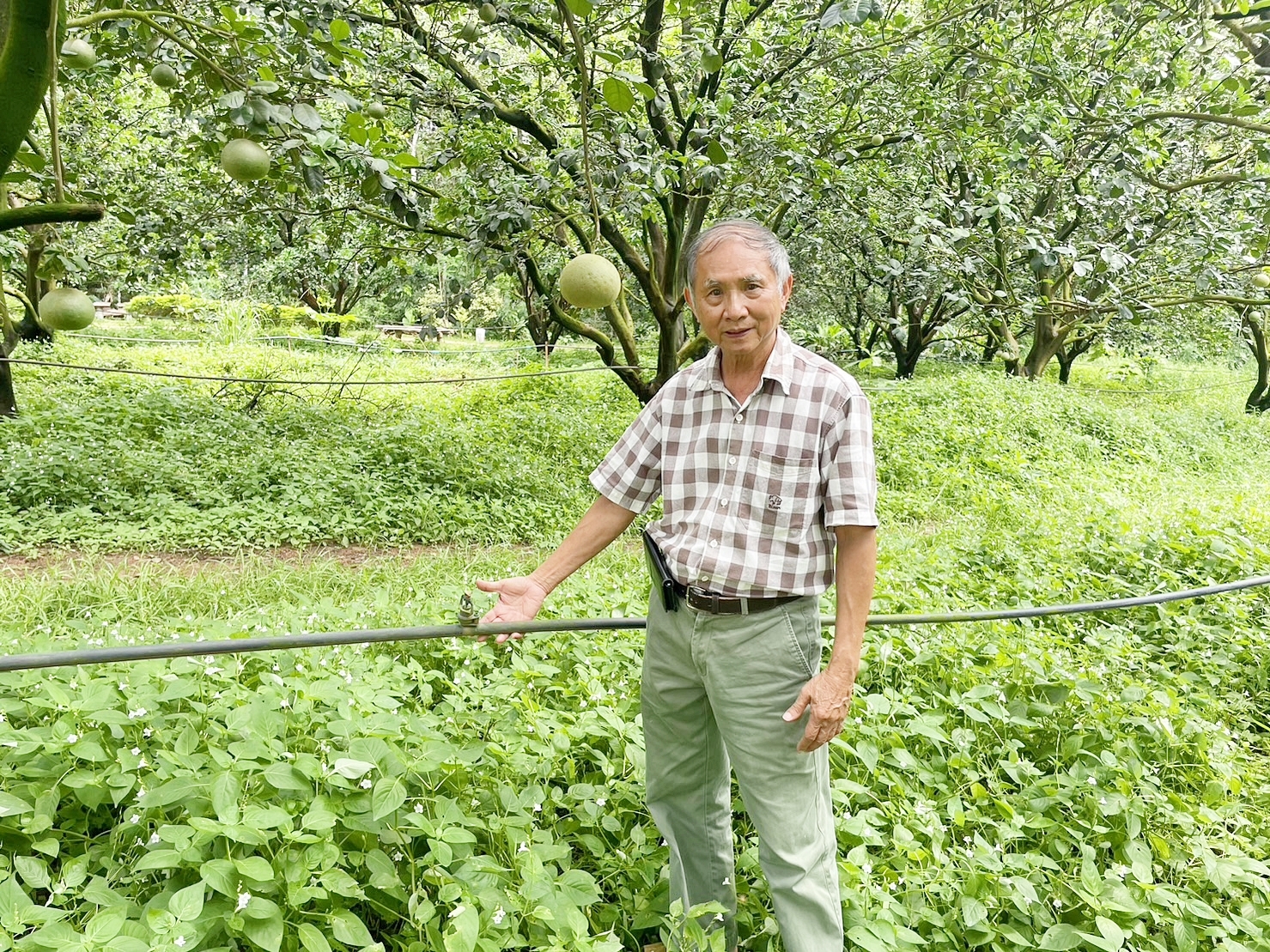 ตามไปดูเกษตรกร ได้ “น้ำปุ๋ย” จากซีพีเอฟ ช่วยก้าวผ่านวิกฤติแล้งตลอด 20 ปี ตามไปดูเกษตรกร ได้ “น้ำปุ๋ย” จากซีพีเอฟ ช่วยก้าวผ่านวิกฤติแล้งตลอด 20 ปี