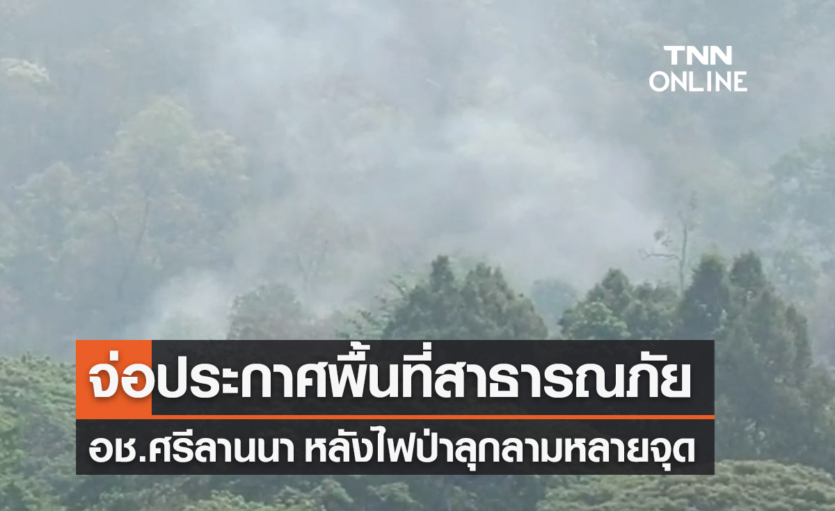 ไฟป่าลุกลาม! จ่อประกาศพื้นที่สาธารณภัยอช.ศรีลานนา เชียงใหม่