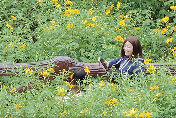 เปิดที่เที่ยวเชียงราย ปี 2564 ‘ดอยหัวแม่คำ’ ดอกบัวตองงามตะการตา เปิดที่เที่ยวเชียงราย ปี 2564 ‘ดอยหัวแม่คำ’ ดอกบัวตองงามตะการตา