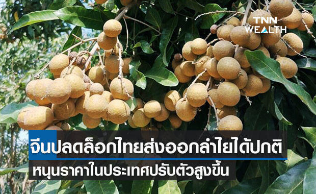  จีนปลดล็อก 56 บริษัทไทยส่งออกลำไยได้ปกติ หนุนราคาในประเทศปรับตัวสูงขึ้น
