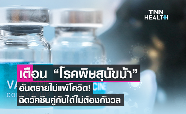 เตือน “โรคพิษสุนัขบ้า” อันตรายไม่แพ้โควิด! ฉีดวัคซีนคู่กันได้ไม่ต้องกังวล