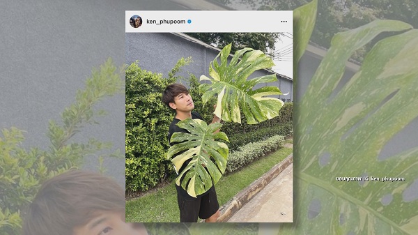 “เอสเธอร์” ไร้แพลนแต่งงาน แจงเหตุซ่อนรูปคู่ในไอจี   (มีคลิป)