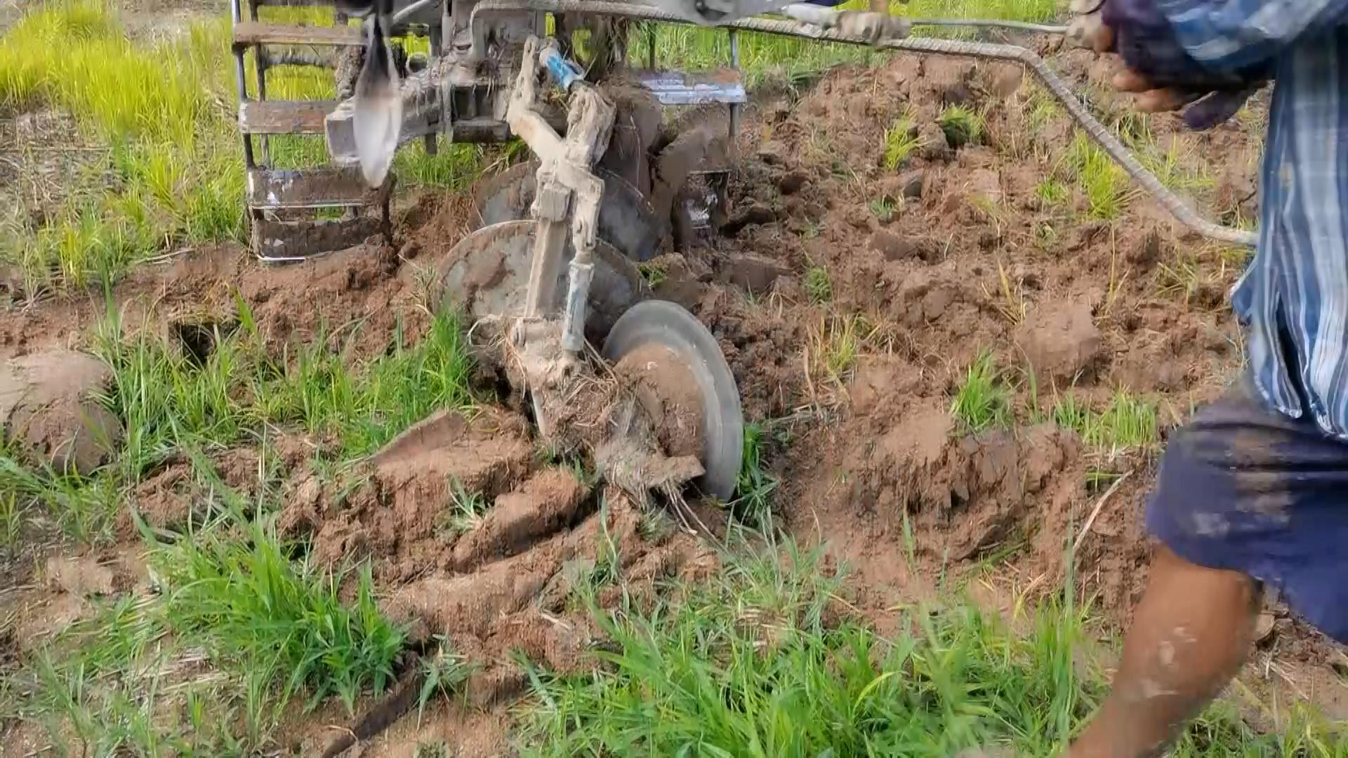 ความหวังชาวนา! เร่งเตรียมแปลง หว่านข้าว ปักดำวันพืชมงคล