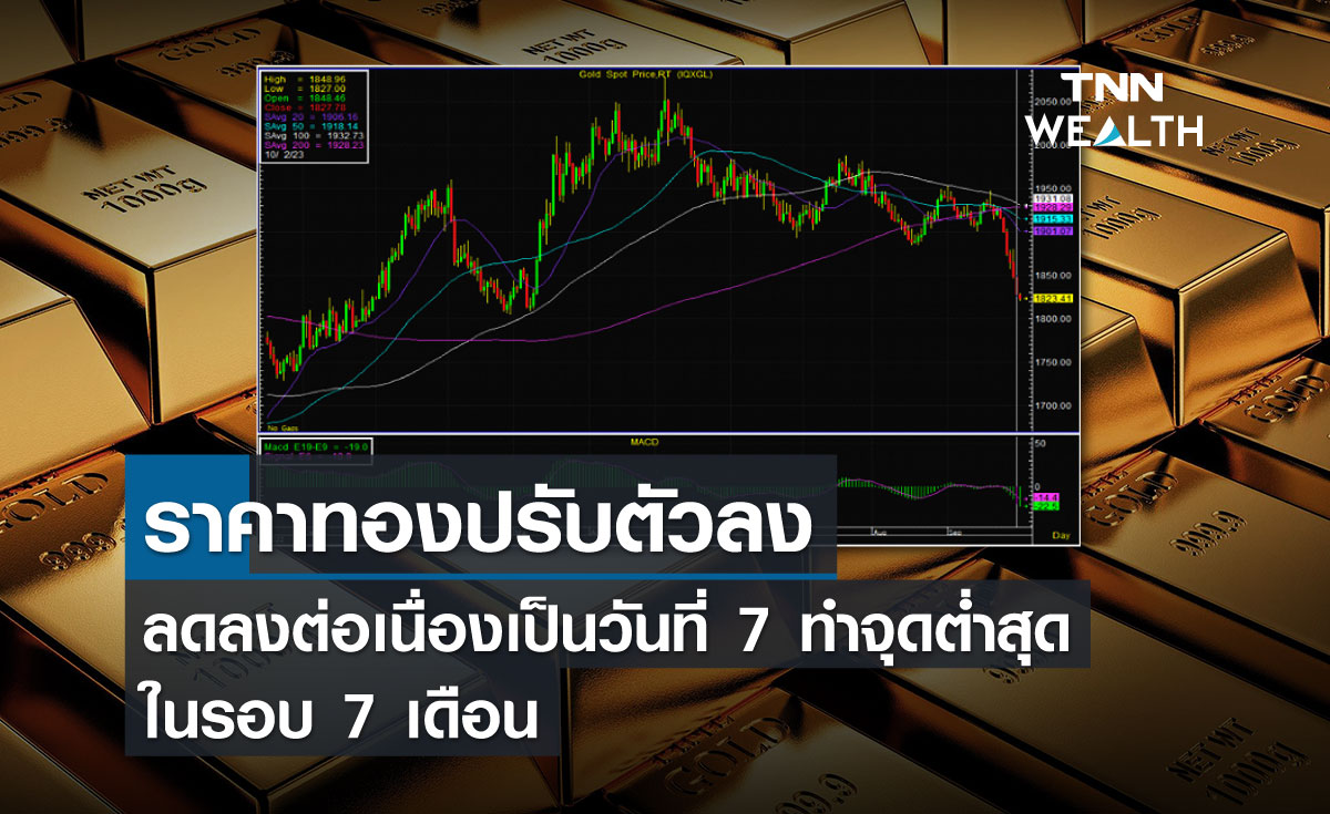 ราคาทองปรับตัวลงลดลงต่อเนื่องเป็นวันที่ 7 ทำจุดต่ำสุดในรอบ 7 เดือน        