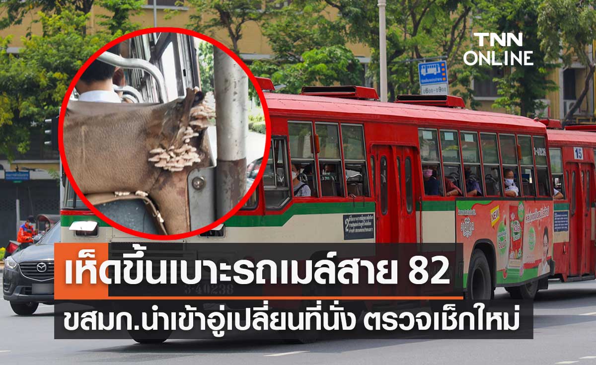 "เห็ดขึ้นเบาะรถเมล์" ขสมก.ส่งเข้าอู่เปลี่ยนใหม่ กำชับตรวจเช็กก่อนให้บริการ