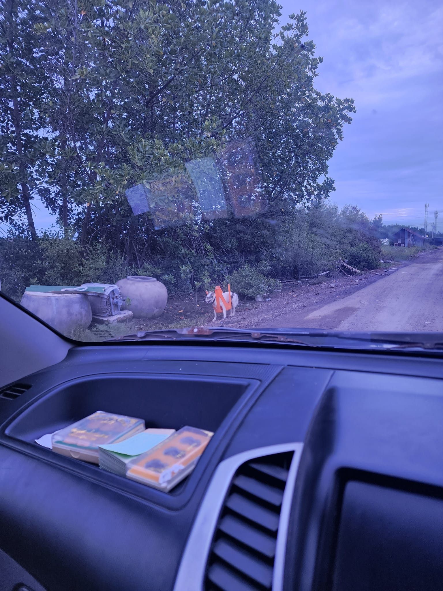 ไวรัล! สุนัขถูกมัดกับเก้าอี้ นึกว่าโดนแกล้งพอได้คำตอบถึงกับอึ้ง 