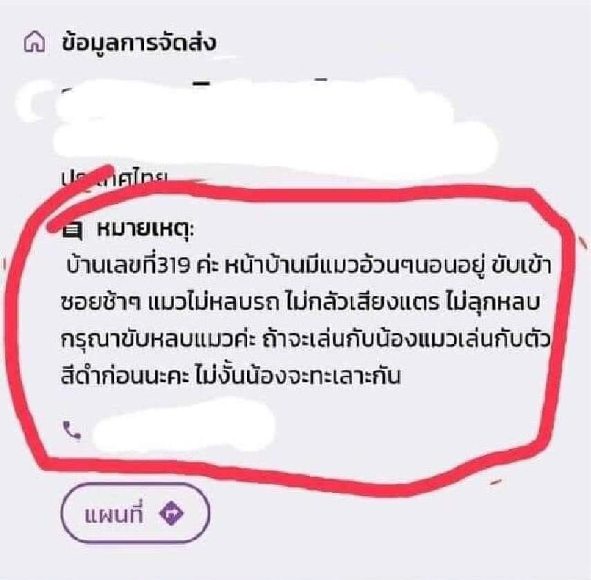 เหตุเกิดจากไรเดอร์! 2 แมวแย่งกันเป็นเบอร์ 1 โซเชียลเอ็นดูจนเจ้าของต้องเปิดเพจ