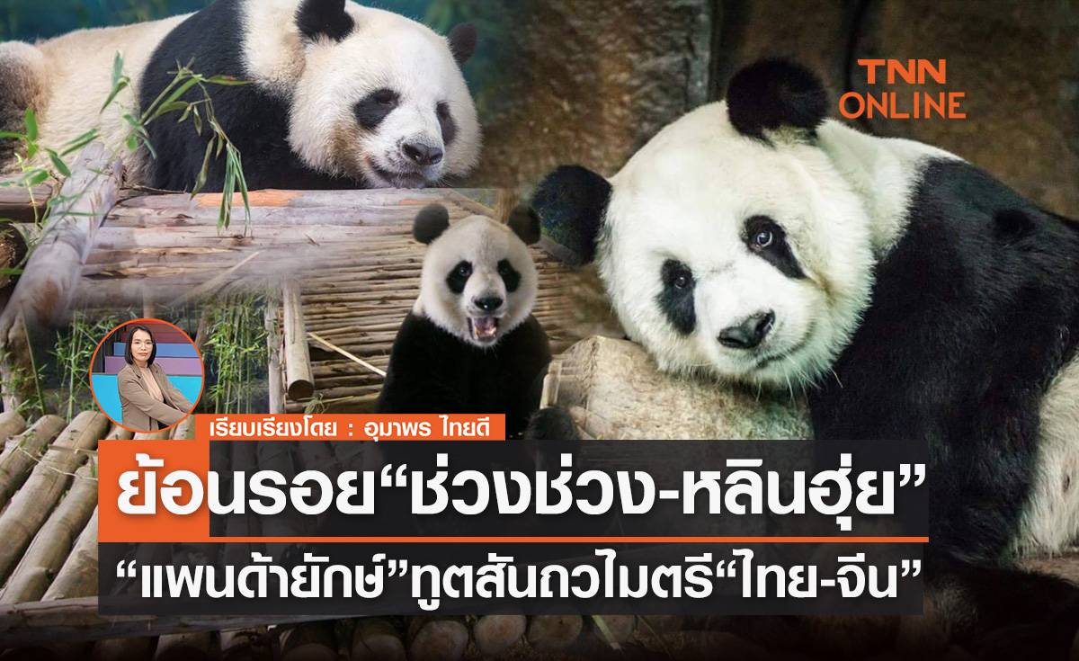 ย้อนรอย “ช่วงช่วง-หลินฮุ่ย” “แพนด้ายักษ์”ทูตสันถวไมตรี “ไทย-จีน”