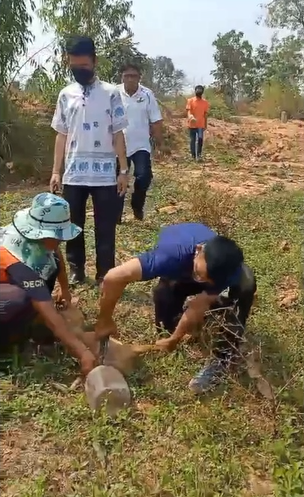 ชื่นชม! ผู้ใจบุญกว่า 10 คนช่วย สุนัข หัวติดกระปุกพลาสติกนานกว่าสัปดาห์