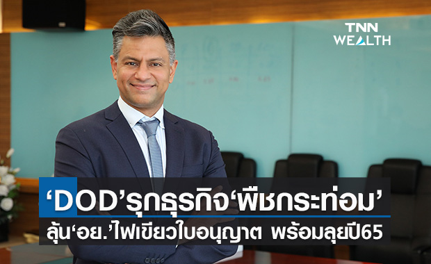DOD เตรียมรุกธุรกิจ “พืชกระท่อม” - ลุ้น“อย.” ไฟเขียวใบอนุญาต พร้อมเจาะตลาดปี 65
