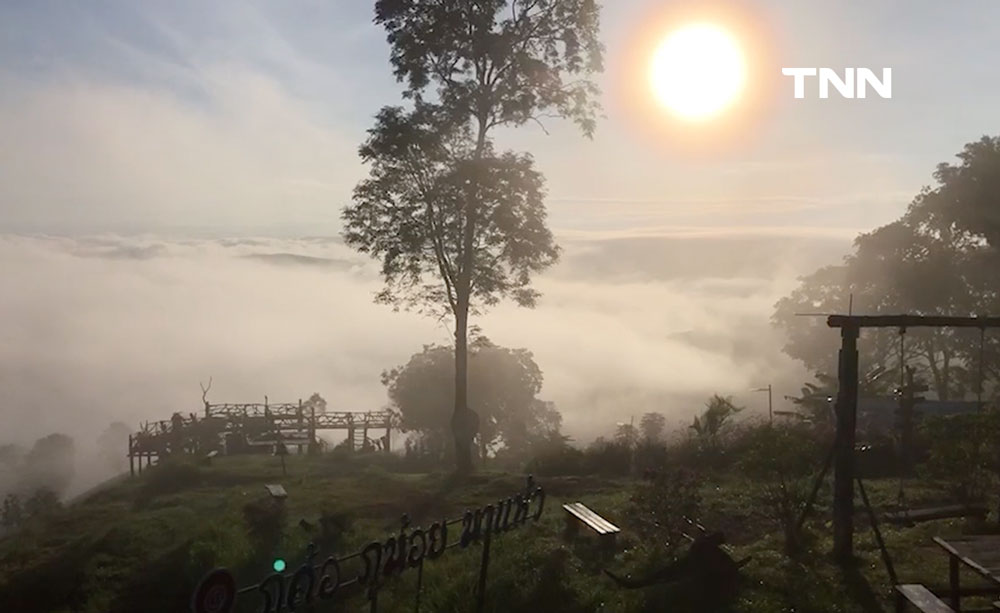 เอลนีโญ ส่งไม้ต่อ ลานีญา เสี่ยงน้ำท่วมหนัก อีสานหนาวจัด เอลนีโญ ส่งไม้ต่อ ลานีญา เสี่ยงน้ำท่วมหนัก อีสานหนาวจัด