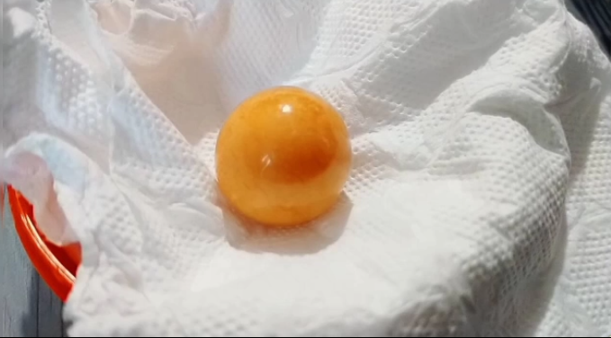 เผยผลตรวจ ‘ไข่มุกเมโล’ หนุ่มเมืองชลฯของแท้ 100% เผยผลตรวจ ‘ไข่มุกเมโล’ หนุ่มเมืองชลฯของแท้ 100%