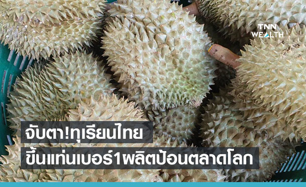 จับตา 'ทุเรียนไทย' เตรียมขึ้นแท่นเบอร์ 1 ผู้ผลิตป้อนตลาดโลก