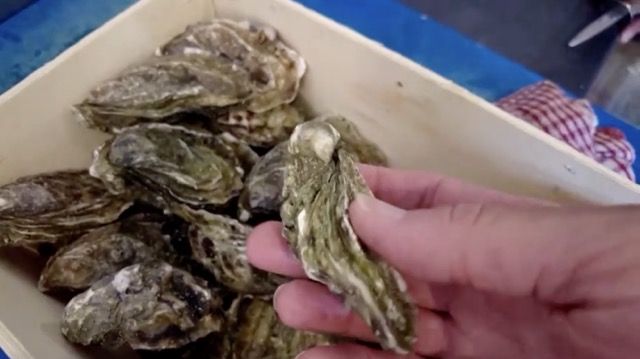 คอนกรีตจากเปลือกหอยนางรม ลดการปล่อย CO2 รักษ์โลกมากขึ้น คอนกรีตจากเปลือกหอยนางรม ลดการปล่อย CO2 รักษ์โลกมากขึ้น