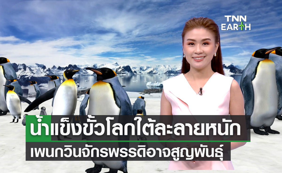 ภาวะโลกร้อนทำน้ำแข็งขั้วโลกใต้ละลายหนัก