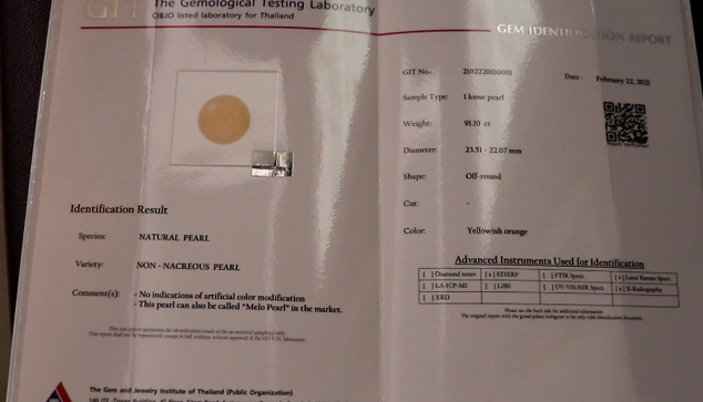 กุ๊กหนุ่มใหญ่เฮ!ซื้อ หอยกระโจงโดง เจอ ‘มุกเมโล’ หนัก 91 กะรัต กุ๊กหนุ่มใหญ่เฮ!ซื้อ หอยกระโจงโดง เจอ ‘มุกเมโล’ หนัก 91 กะรัต