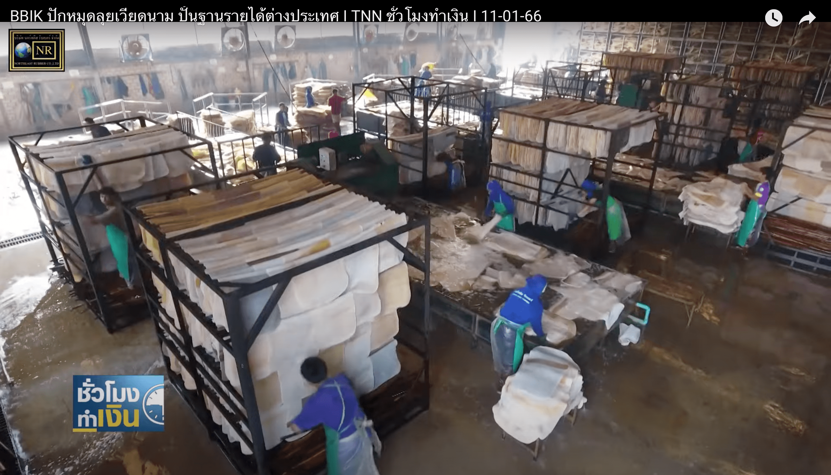 NER ตั้งเป้ายอดขาย 5 แสนตัน ลุ้นฟื้นยอดส่งออกจีน NER ตั้งเป้ายอดขาย 5 แสนตัน ลุ้นฟื้นยอดส่งออกจีน