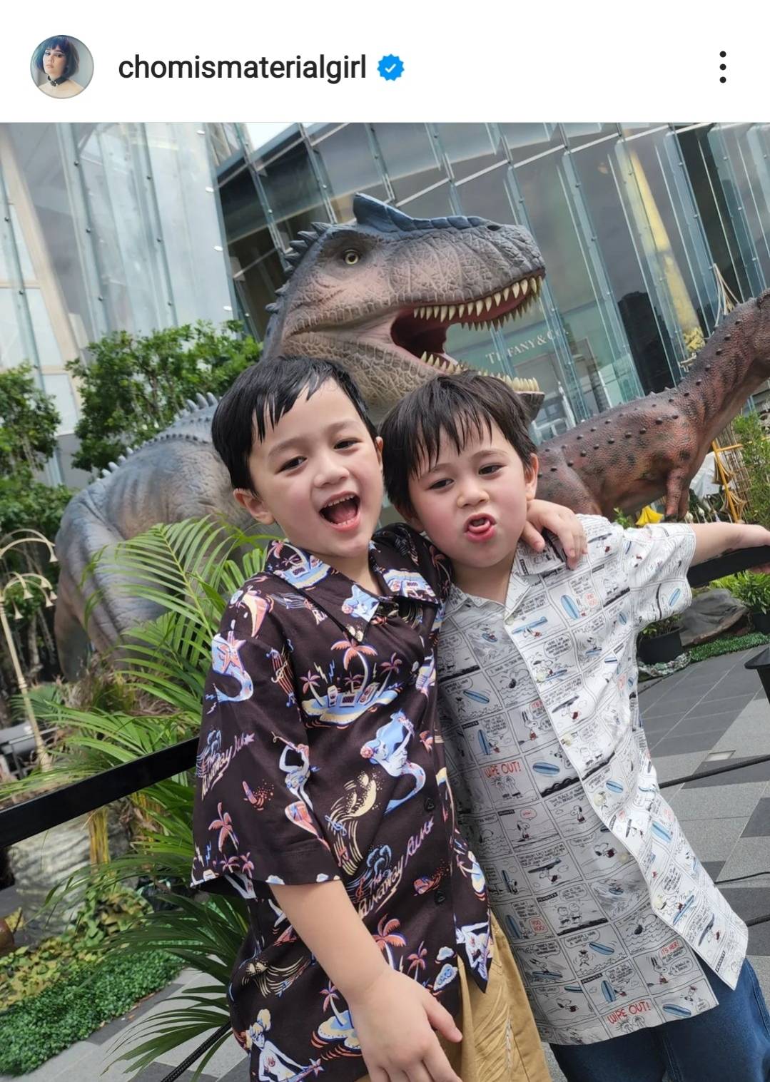 สุขสันต์วันเกิดฝาแฝดสุดหล่อน้อง สายฟ้า-พายุ 