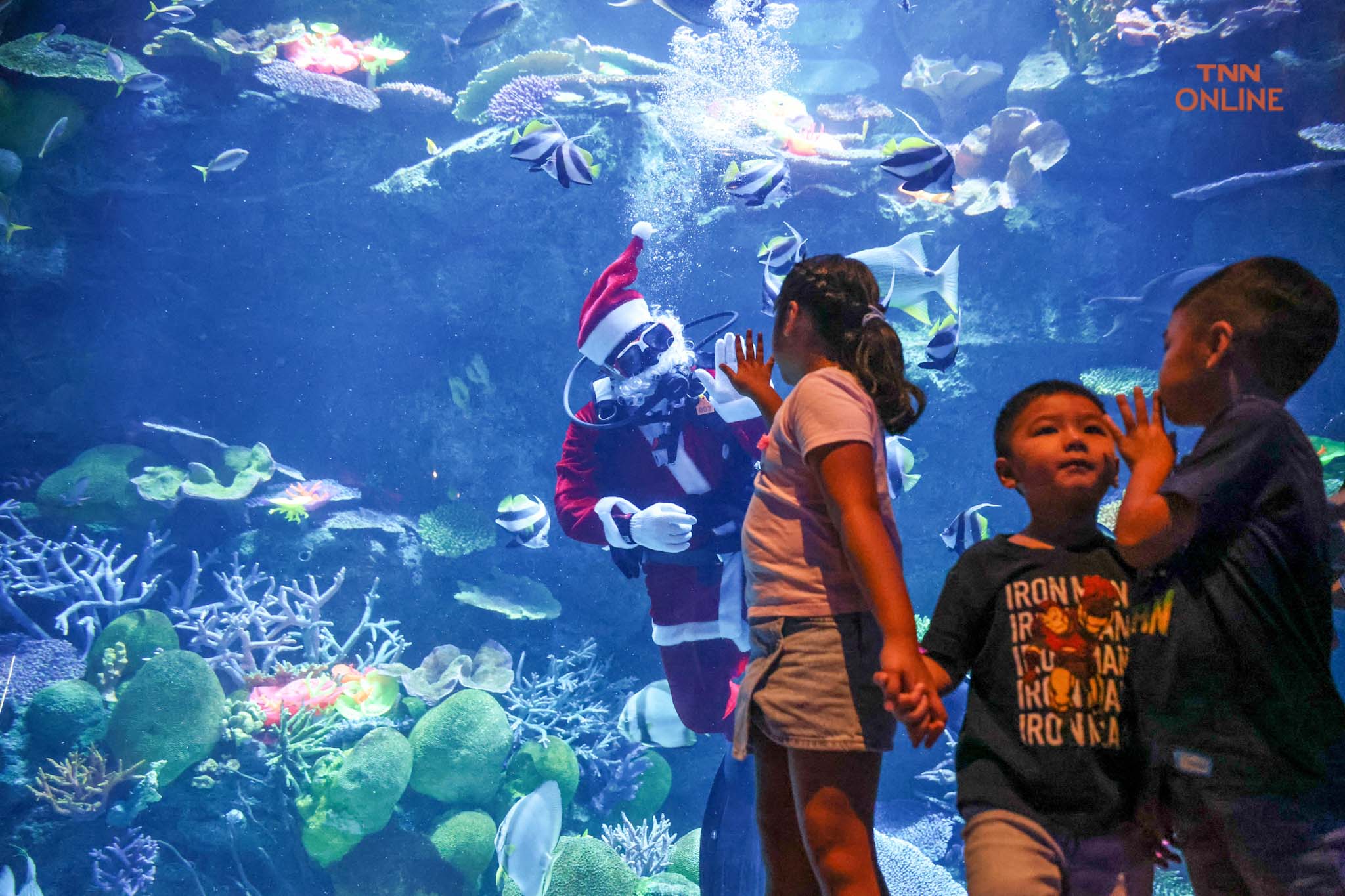 คริสต์มาสใต้ทองทะเล ซานตาคลอส-เงือกน้อย ทักทาย นทท. ผู้มาเยือน