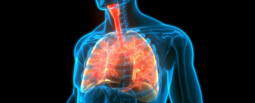 นักวิจัยคิดค้นวัคซีนรักษา โรคหอบหืด พร้อมพัฒนาเพื่อใช้ในมนุษย์