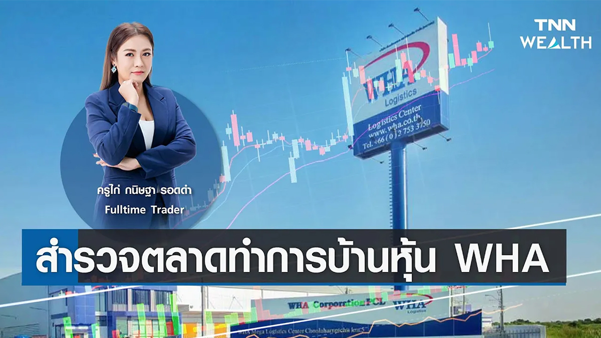 สำรวจตลาดทำการบ้านหุ้น WHA กับครูไก่ กนิษฐา รอดดำ I TNN WEALTH 15 มี.ค. 66