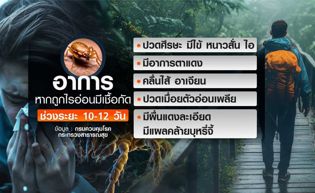 เที่ยวป่าต้องระวัง ไข้รากสาดใหญ่ เชื้ออันตรายจาก ตัวไรอ่อน เที่ยวป่าต้องระวัง ไข้รากสาดใหญ่ เชื้ออันตรายจาก ตัวไรอ่อน