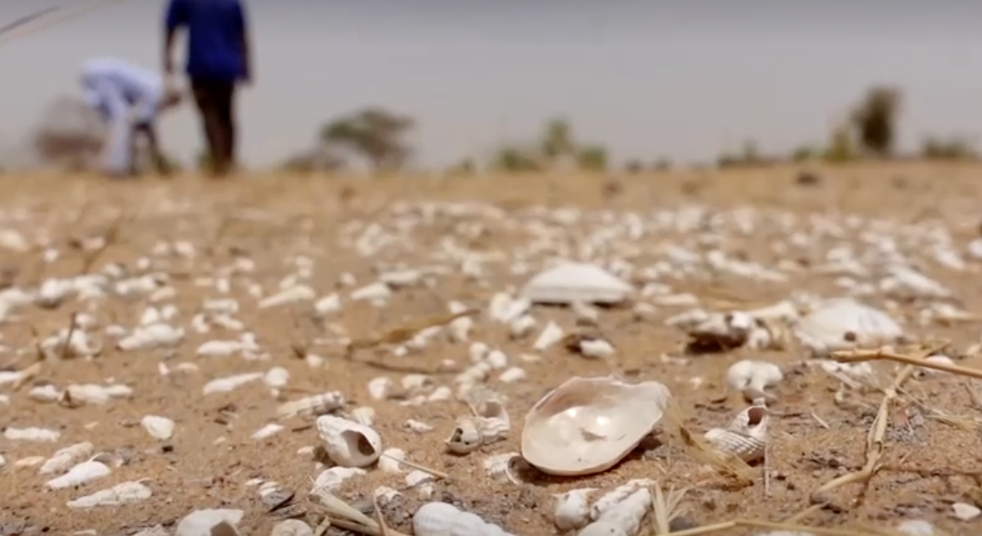 เปิดภาพโดรน “ทะเลสาบกลายเป็นทะเลทราย” จากภัยแล้งหนักในมาลี เปิดภาพโดรน “ทะเลสาบกลายเป็นทะเลทราย” จากภัยแล้งหนักในมาลี