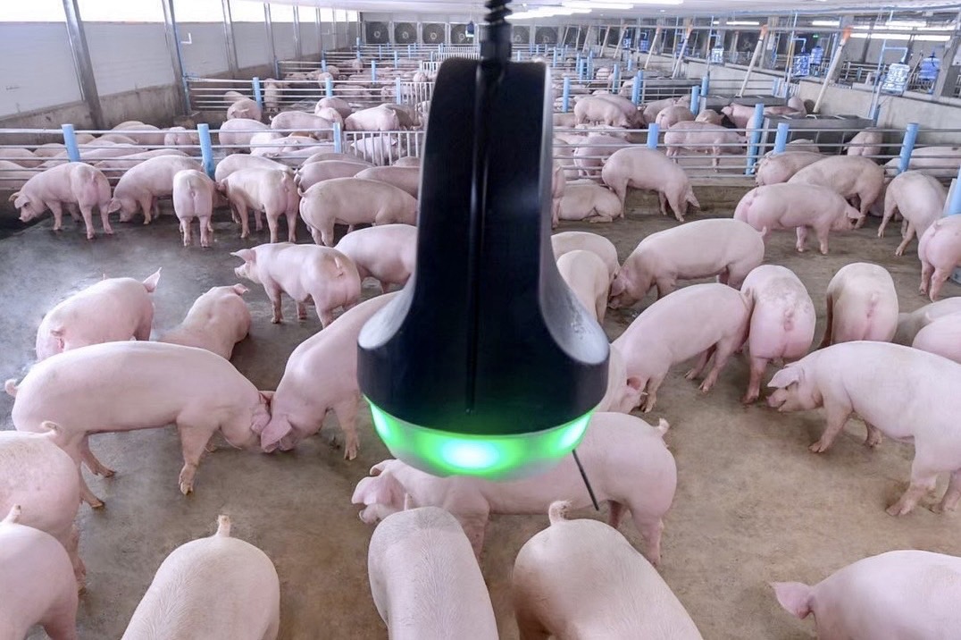 ซีพีเอฟ หนุนนโยบาย Zero ASF ชู “ระบบไบโอซีเคียวริตี้” ป้องกันโรคสุกร ปลอดภัย 100% ซีพีเอฟ หนุนนโยบาย Zero ASF ชู “ระบบไบโอซีเคียวริตี้” ป้องกันโรคสุกร ปลอดภัย 100%