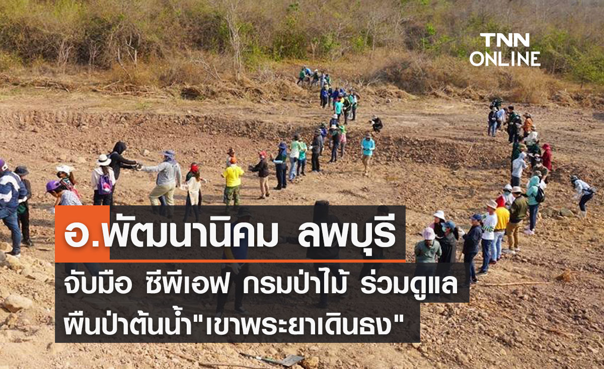 อำเภอพัฒนานิคม ลพบุรี จับมือ ซีพีเอฟ กรมป่าไม้ ร่วมดูแลผืนป่าต้นน้ำ"เขาพระยาเดินธง"