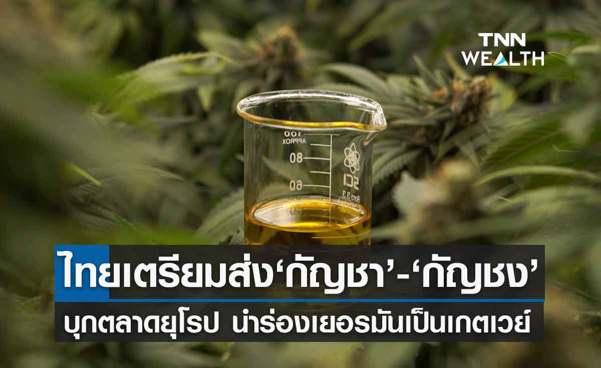 ปลดล็อกกัญชา เปิดประเทศ หนุนผู้ประกอบการไทยบุกตลาดยุโรปครึ่งปีหลัง