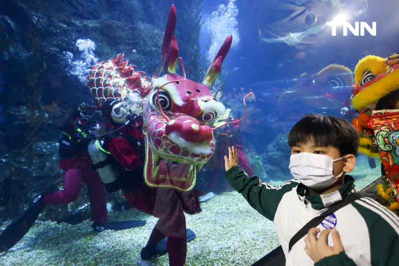 เตรียมต้อนรับเทศกาลตรุษจีน เชิดมังกรใต้น้ำ ที่ ซีไลฟ์ แบงคอก เตรียมต้อนรับเทศกาลตรุษจีน เชิดมังกรใต้น้ำ ที่ ซีไลฟ์ แบงคอก