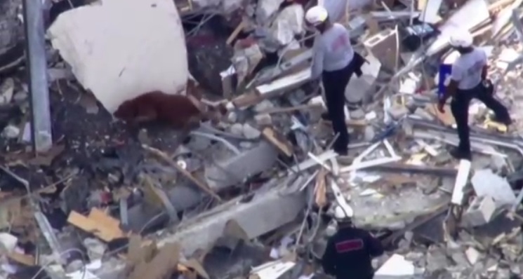 เร่งค้นหา 99 ชีวิตติดใต้ซากตึกถล่มในไมอามี