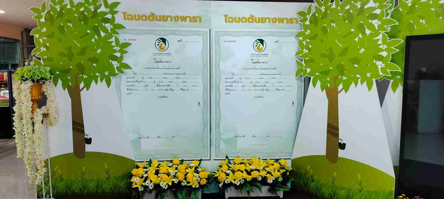 กยท.เดินหน้าพัฒนาองค์กรขับเคลื่อนนโนยายรัฐบาล ชิงความได้เปรียบ EUDR ชี้นำราคายางโลก มั่นใจสิ้นปี ราคาทะลุ 3 หลัก