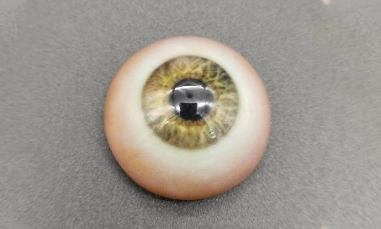 ตาเทียมจากเครื่องพิมพ์ 3 มิติ เพิ่มความสมจริงในเวลาที่เร็วขึ้น! ตาเทียมจากเครื่องพิมพ์ 3 มิติ เพิ่มความสมจริงในเวลาที่เร็วขึ้น!