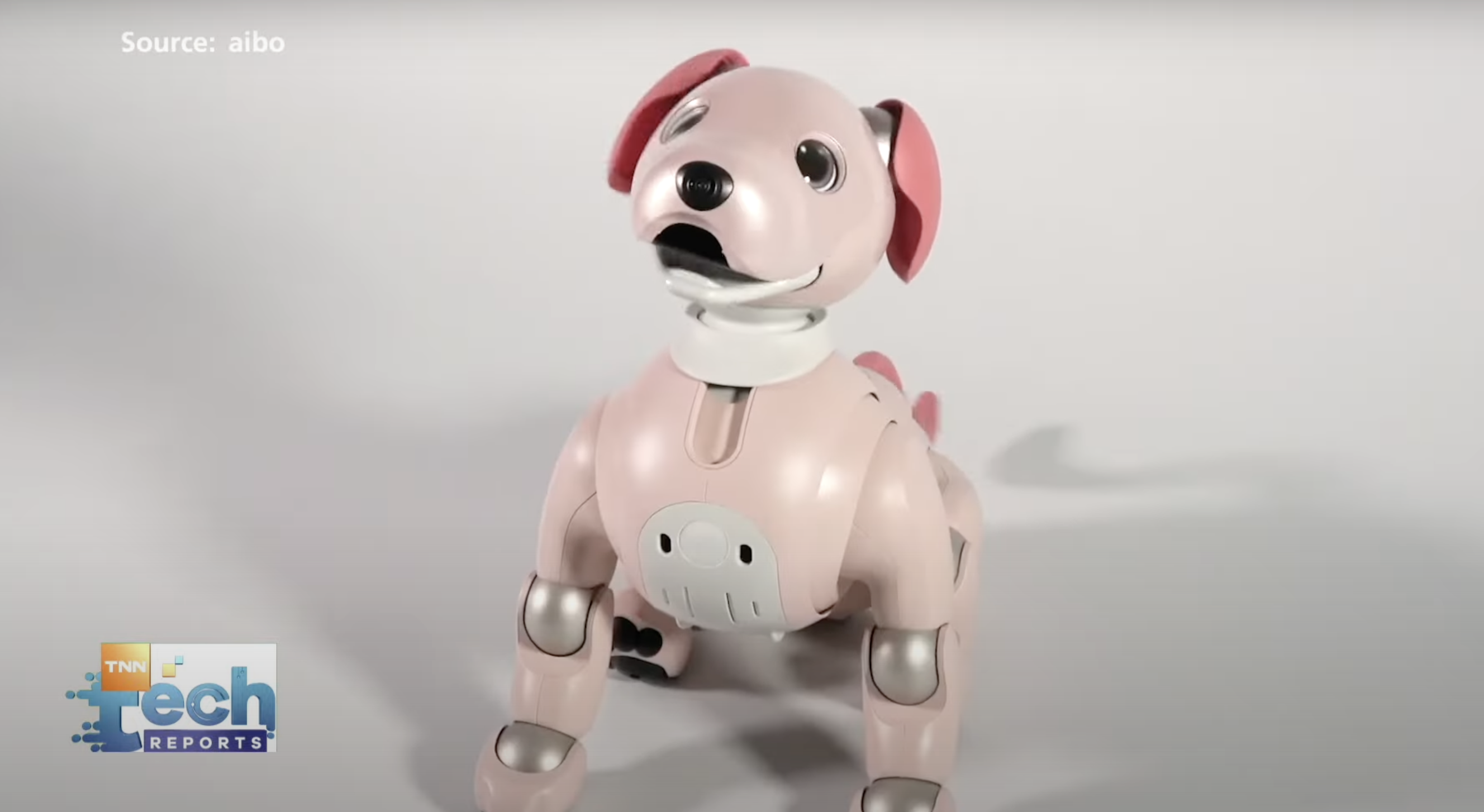 3 หุ่นยนต์สัตว์เลี้ยงสุดไฮเทค ไอเทมแก้เหงาประจำบ้าน | TNN Tech Reports 3 หุ่นยนต์สัตว์เลี้ยงสุดไฮเทค ไอเทมแก้เหงาประจำบ้าน | TNN Tech Reports