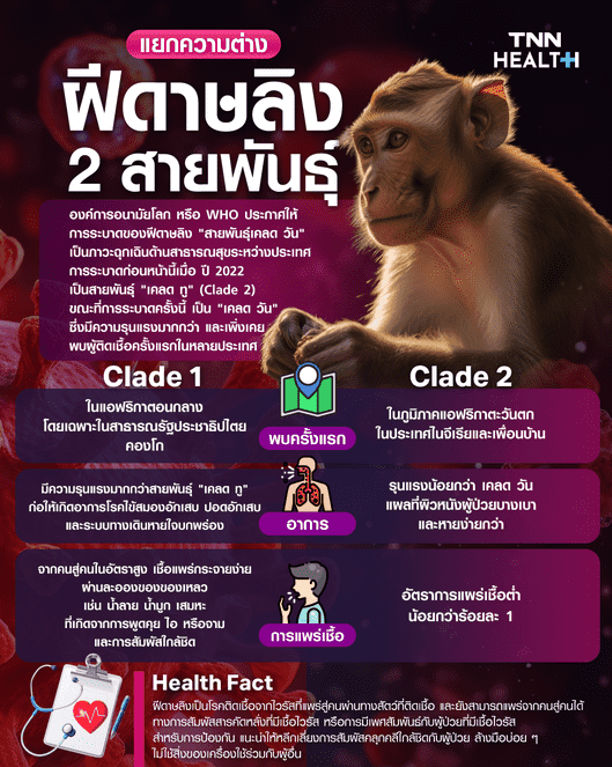 ฝีดาษลิง สายพันธุ์ใหม่ - เก่า แตกต่างกันอย่างไร? ฝีดาษลิง สายพันธุ์ใหม่ - เก่า แตกต่างกันอย่างไร?