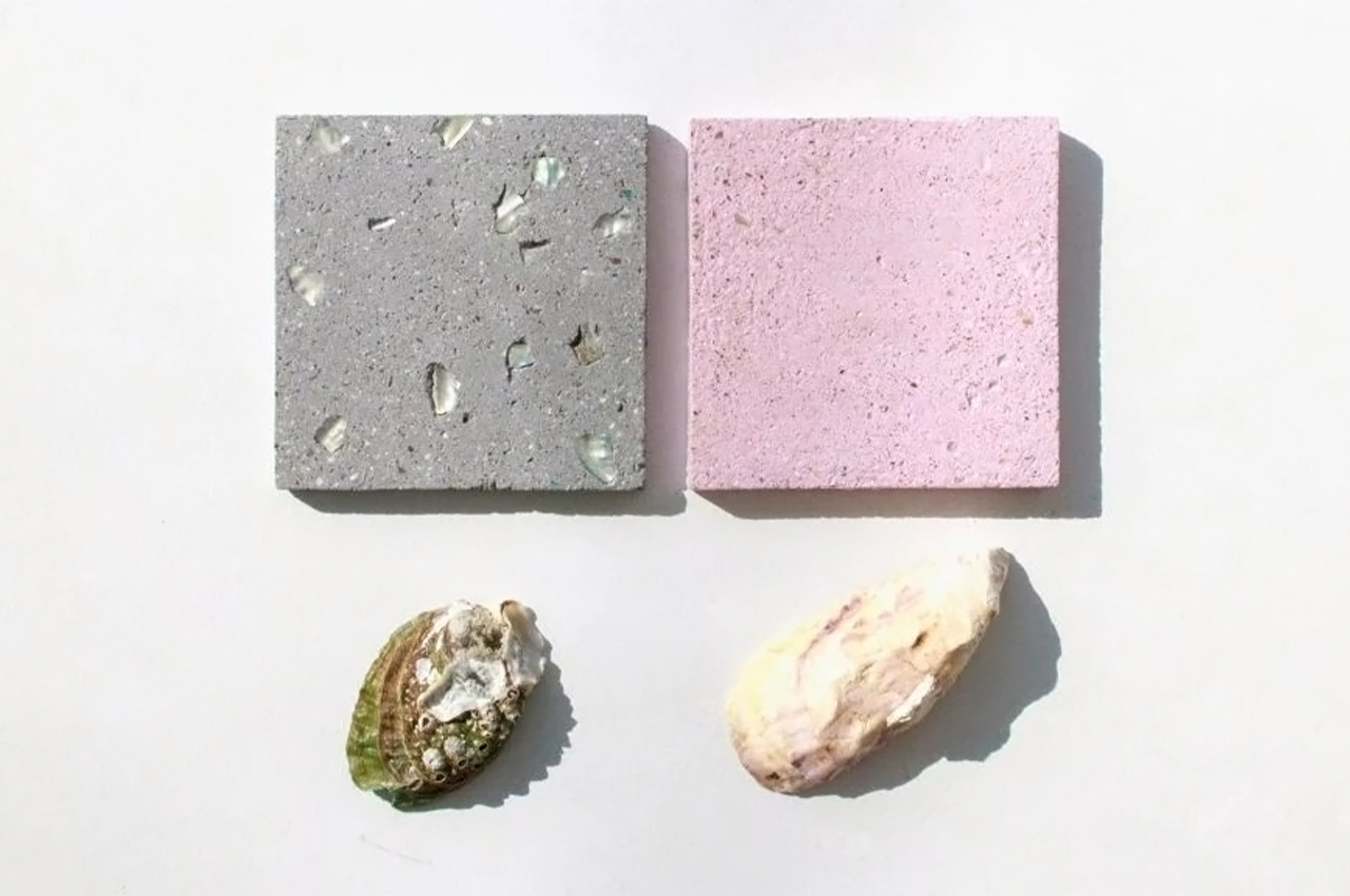 โลกไปไกล !? เปลี่ยน ซากหอย เป็นคอนกรีต โลกไปไกล !? เปลี่ยน ซากหอย เป็นคอนกรีต