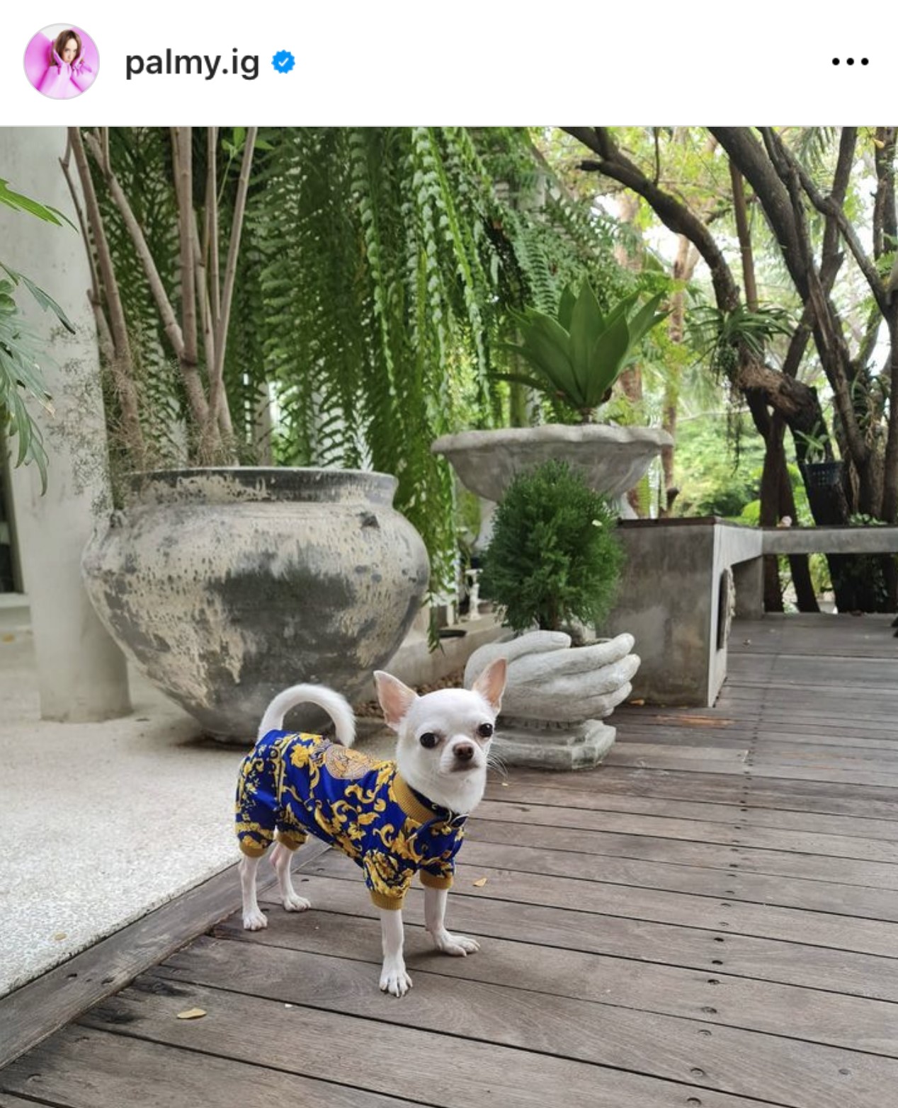 นายเผือกกลับบ้าน มาพร้อมสมาชิกใหม่ 