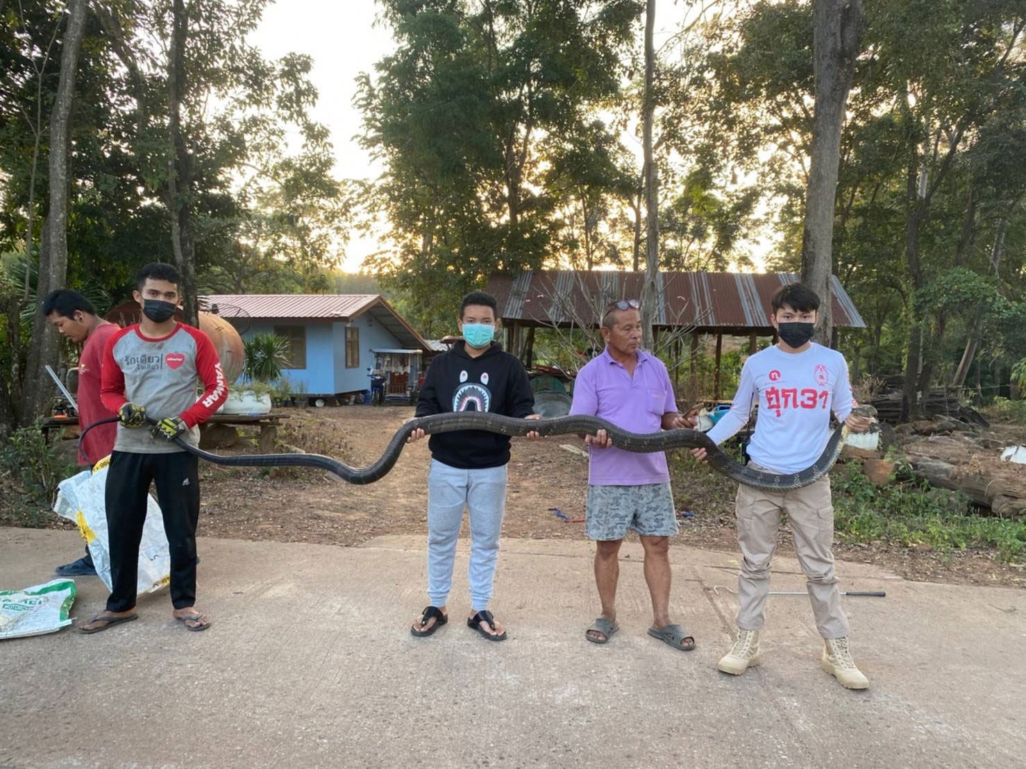 จงอางยักษ์ ยาว 4 เมตร บุกบ้าน โร่แจ้ง กู้ภัย จับด้วยมือเปล่า จงอางยักษ์ ยาว 4 เมตร บุกบ้าน โร่แจ้ง กู้ภัย จับด้วยมือเปล่า