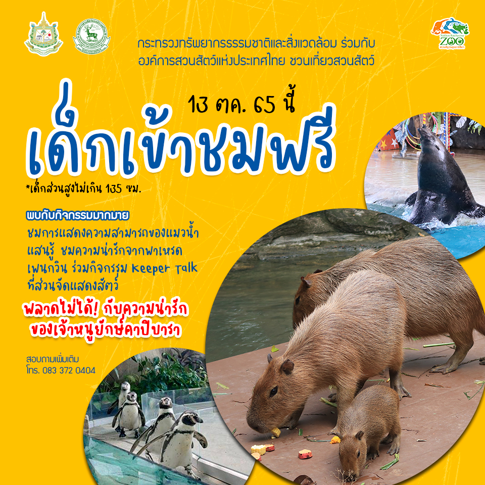 เด็กๆเที่ยวสวนสัตว์ฟรี! 13 ต.ค. นี้ เปิดต้อนรับ 6 แห่งทั่วประเทศ เด็กๆเที่ยวสวนสัตว์ฟรี! 13 ต.ค. นี้ เปิดต้อนรับ 6 แห่งทั่วประเทศ