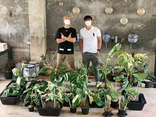 เคน ภูภูมิ ไลฟ์ประมูลต้นไม้ ได้ 8 แสนกว่า สมบททุนให้ครบ 1 ล้าน มอบให้โรงพยาบาล