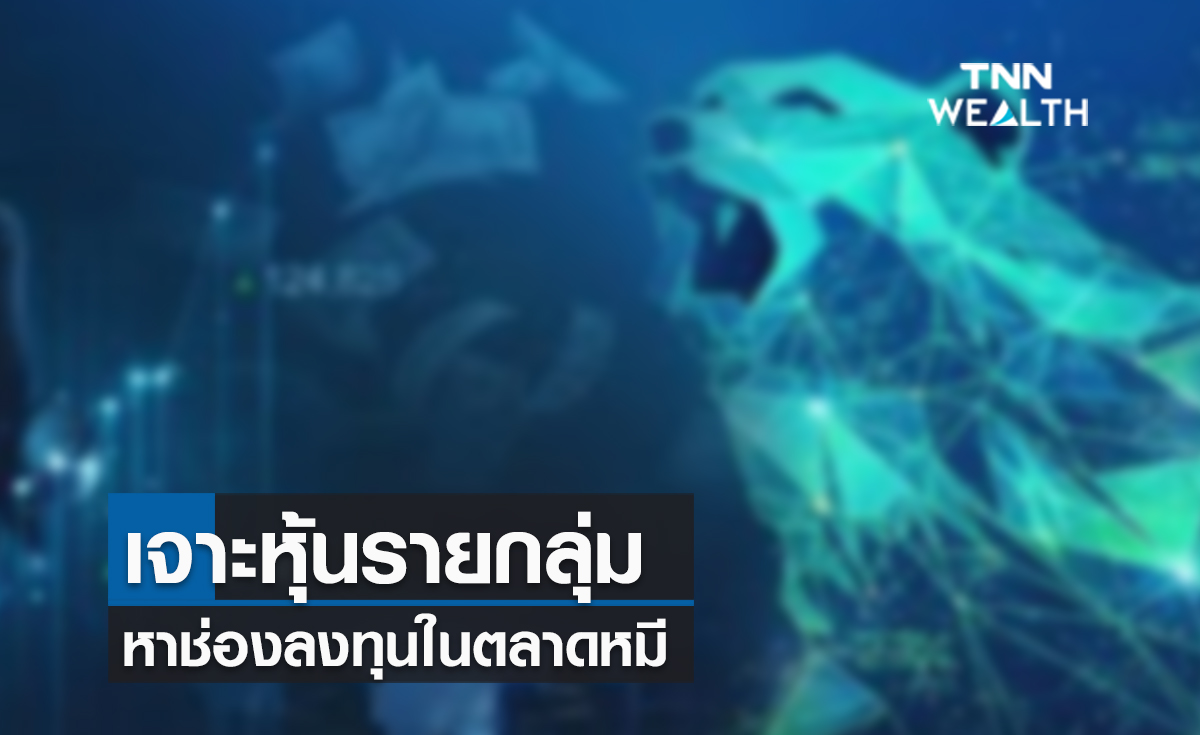 (คลิป) เจาะหุ้นรายกลุ่ม หาช่องลงทุนในตลาดหมี