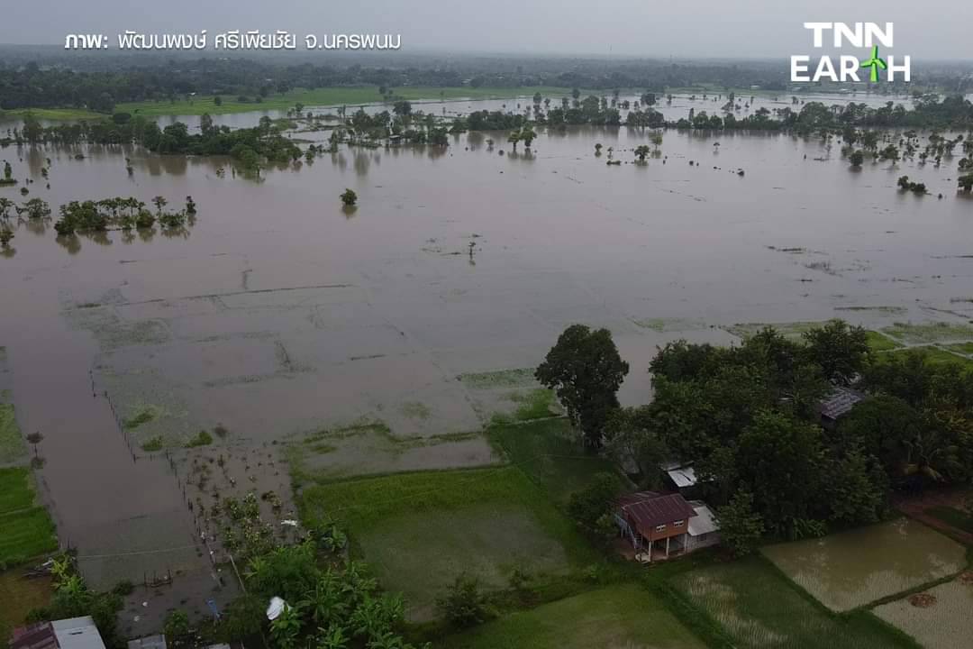น้ำโขงวิกฤตแตะระดับสูง เกือบ 10 เมตร นาข้าวเสียหาย กว่า 3,000 ไร่ น้ำโขงวิกฤตแตะระดับสูง เกือบ 10 เมตร นาข้าวเสียหาย กว่า 3,000 ไร่